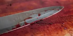 ¿Cómo cortar madera con un cuchillo?