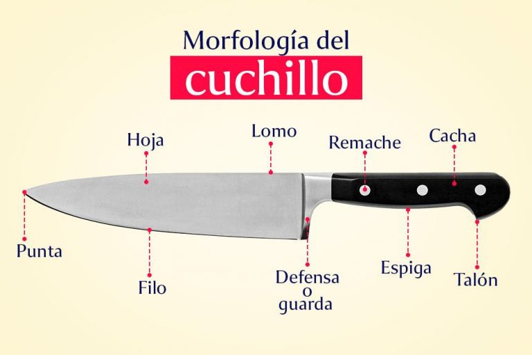 ¿Cuánto tarda en sanar una herida de cuchillo? Enterate Delicias