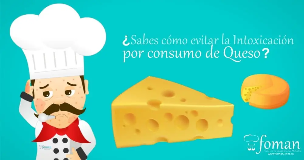 ¿Cómo saber que un queso está malo? Enterate Delicias