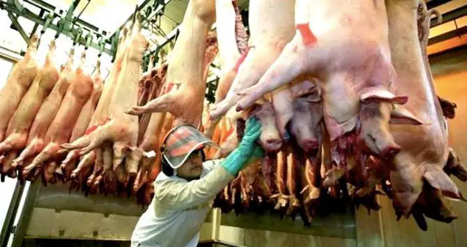 ¿cómo Saber Si La Carne De Cerdo Está En Mal Estado Enterate Deliciasemk 6274