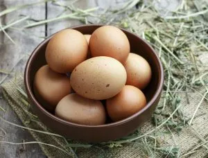 ¿Cómo se deben de conservar los huevos?