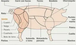 ¿Cómo se le llama a la bondiola de cerdo en México?