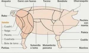 como-se-le-llama-a-la-bondiola-de-cerdo-en-mexico