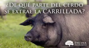 ¿Cómo se llama el secreto de cerdo en Argentina?