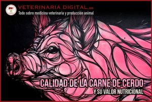 ¿Cómo se llama la carne de cerdo en Argentina?