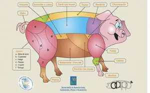 ¿Cómo se llaman los cortes de cerdo en Argentina?