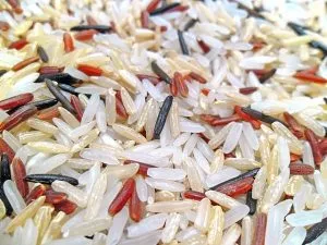 ¿Cuál es el arroz bomba en Argentina?