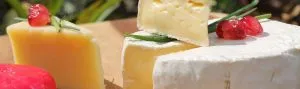 ¿Cuál es el tipo de queso con menos grasa?