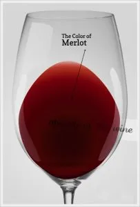 ¿Cuál es la diferencia entre el vino Merlot y Cabernet?