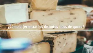 ¿Cuál es la diferencia entre queso fresco y queso maduro?