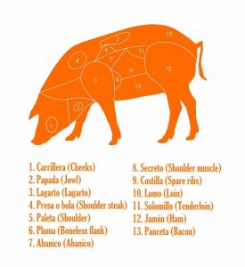 ¿Cuál es la parte más nutritiva del cerdo?