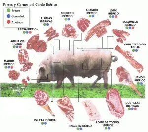 ¿Cuál es la parte más tierna del cerdo?
