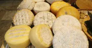 ¿Cuáles son los quesos pasteurizados?