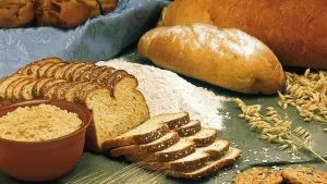 ¿Cuántas calorías tiene un pan de 100 gramos?