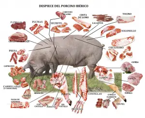 ¿Cuántos Cortés tiene la carne de cerdo?