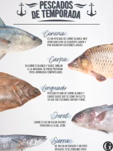 ¿Por qué el pescado se considera carne blanca?