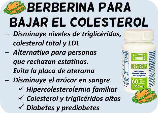 que-cenar-para-bajar-trigliceridos-y-colesterol