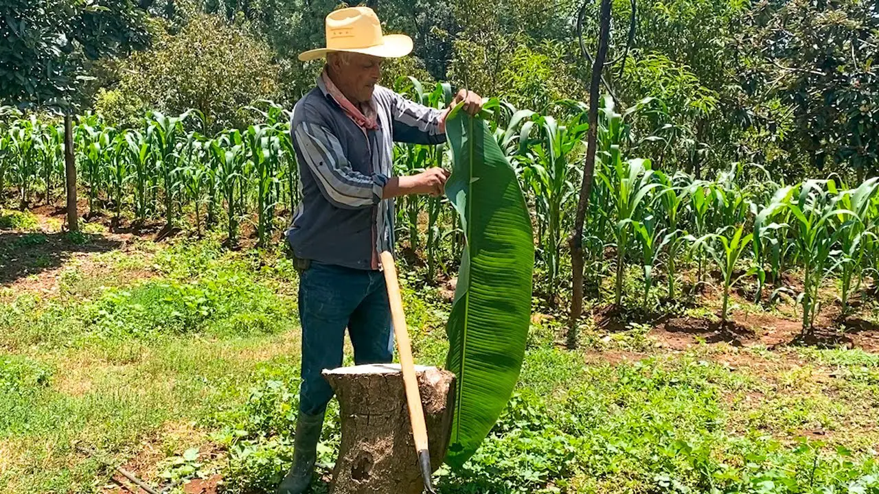 que-es-la-barbacoa-en-la-agricultura