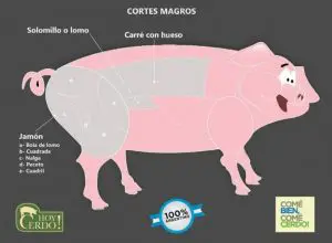 ¿Qué parte del cerdo es la carne magra?