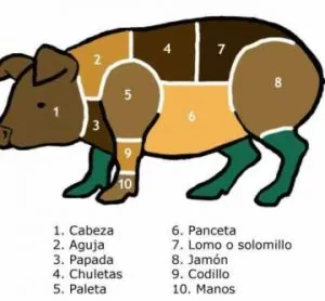 que-parte-del-cerdo-es-la-pluma-iberica