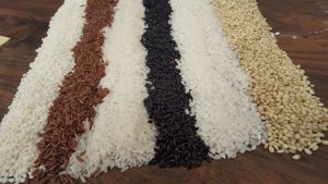 ¿Qué tipo de arroz se cultiva en Argentina?