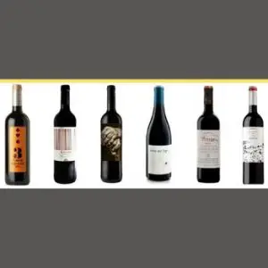 ¿Qué vino es bueno de Ribera del Duero?