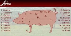¿Cómo se llaman las partes del cerdo?
