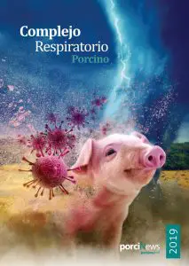 ¿Cómo se mide la frecuencia respiratoria en cerdos?