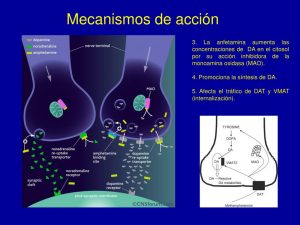 ¿Cuál es el mecanismo de accion de las anfetaminas?