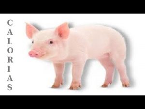 ¿Cuántas calorías tiene 100 gramos de carne de cerdo?