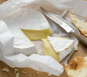 ¿Cuánto tiempo puede durar el queso fuera de la nevera?