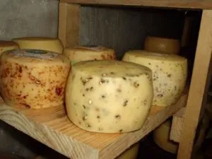 ¿Cuántos tipos de quesos hay en Argentina?