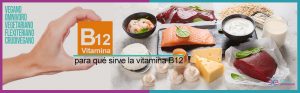 ¿Dónde se encuentra la vitamina B12 y para qué sirve?