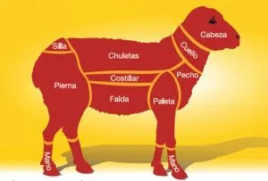 que-parte-del-animal-es-la-paleta