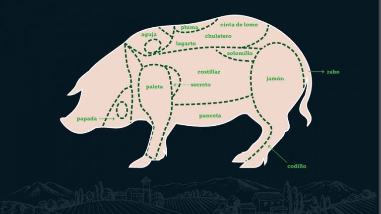¿Cuánto vale un cerdo de 100 kilos en Colombia? - Enterate Delicias