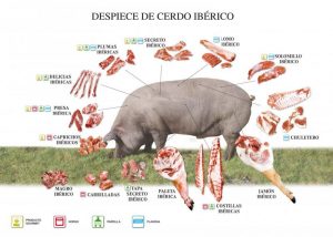 ¿Qué parte del cerdo tiene más proteínas?